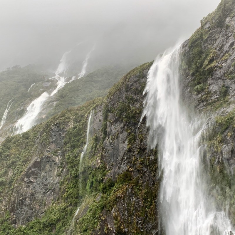 Southland: Fiordland-Wet, Wild
