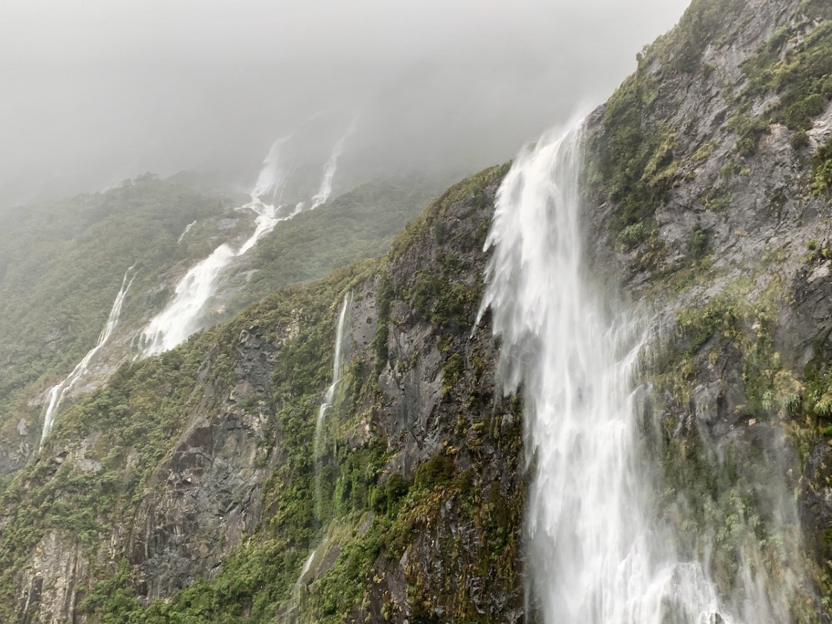 Southland: Fiordland-Wet, Wild
