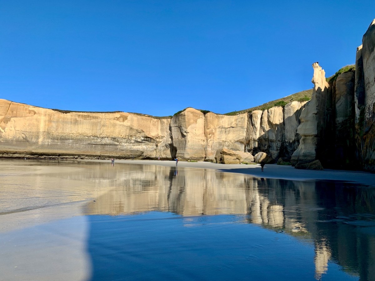 Southland: Dramatic Dunedin
