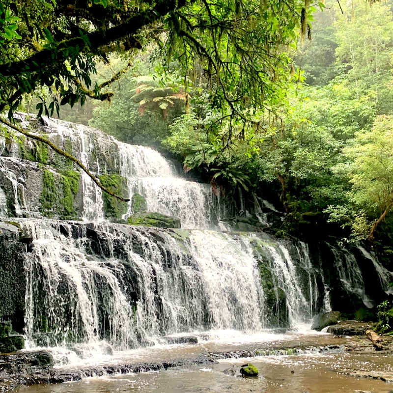 Southland’s Secret: The Catlins