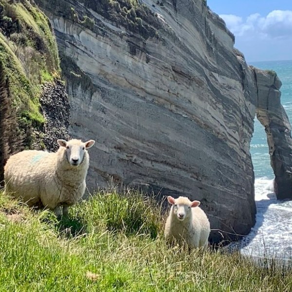 Tasman: Cape Farewell