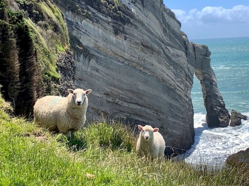 Tasman: Cape Farewell