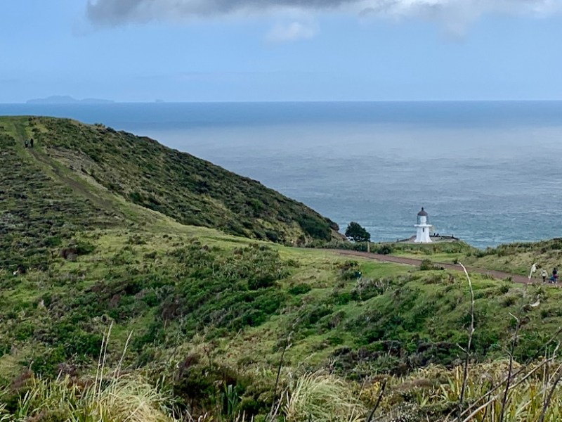 Northland: Cape Reinga