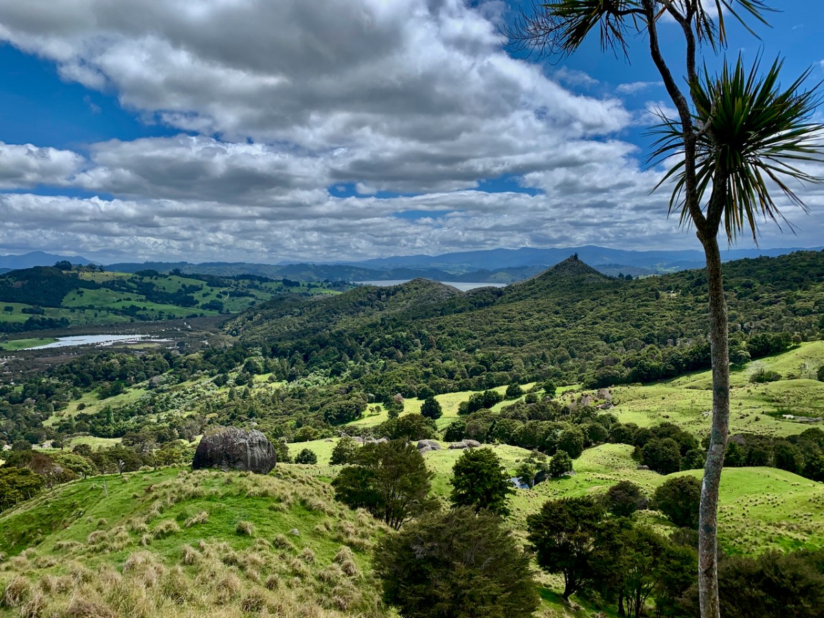 Northland: Paihia Day Trips