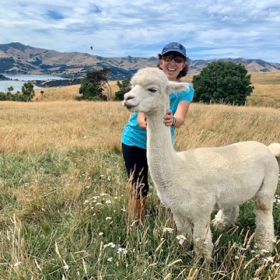 East Coast: Akaroa-Lyttelton