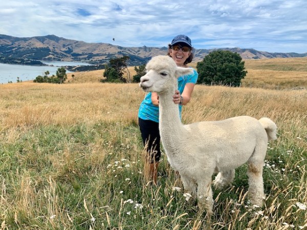 East Coast: Akaroa-Lyttelton