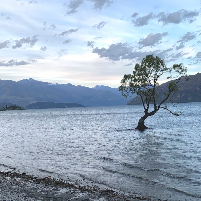 Southern Alps: Wānaka, Lake Hāwea