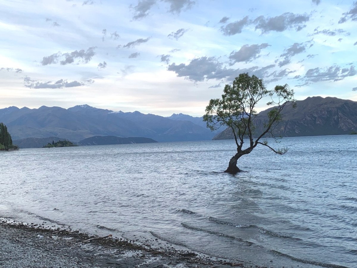 Southern Alps: Wānaka, Lake Hāwea