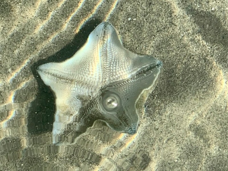 Tasman: Abel Tasman’s Great Walk