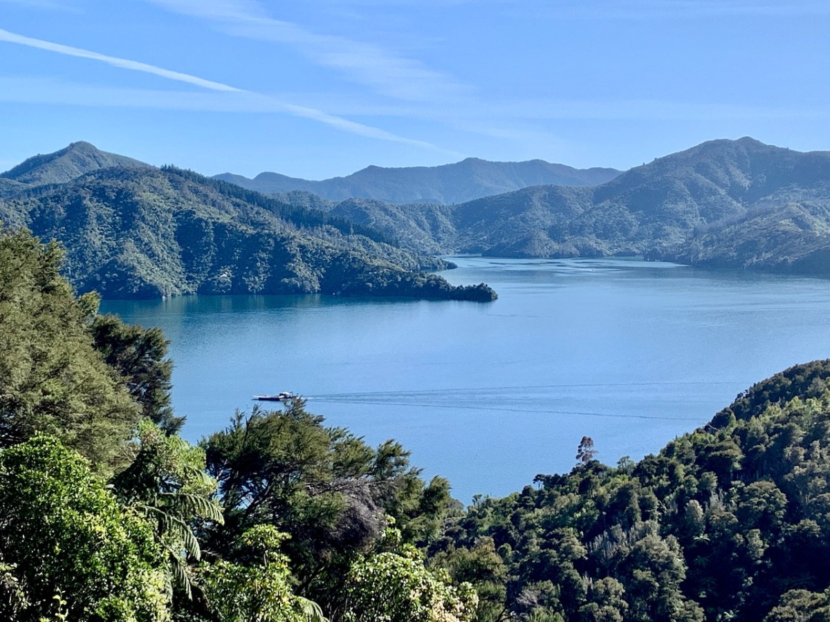 Top of South: Marlborough Sounds