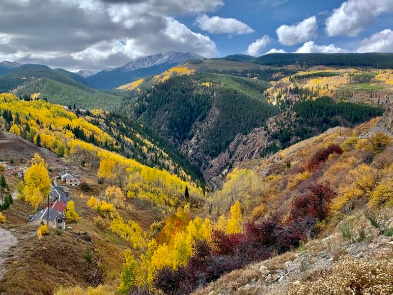 Colorado Aspens: Road Trip