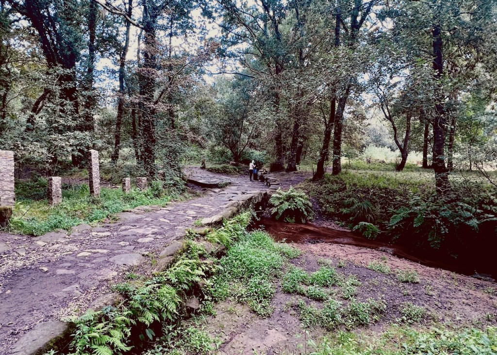 A winding stone pathway through a lush green forest, with trees surrounding the scene and a shallow stream on one side.