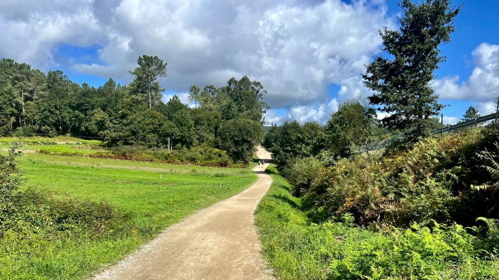 A scenic pathway meandering through lush greenery, flanked by trees and shrubs, under a partly cloudy blue sky.