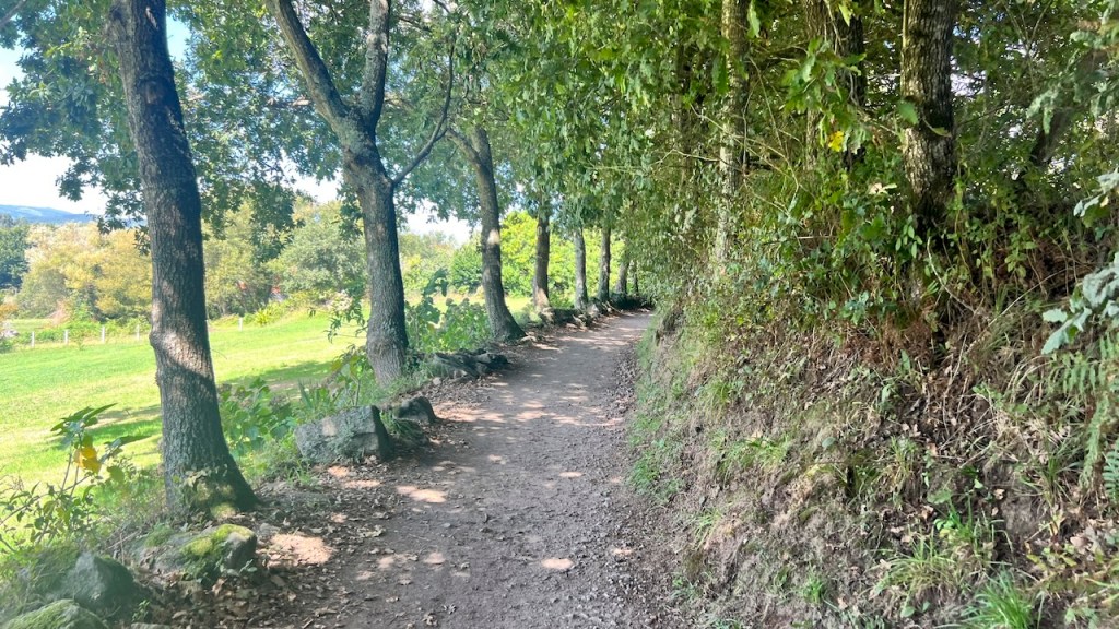 A dirt path winding through a tree-lined area, with greenery on either side and sunlight filtering through the leaves.