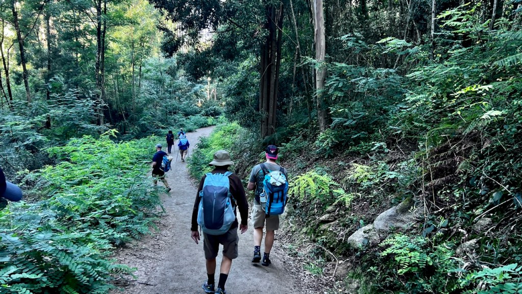 A group of hikers walking along a dirt trail in a lush green forest, surrounded by dense foliage and trees.
